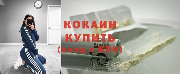хмурый Дмитриев