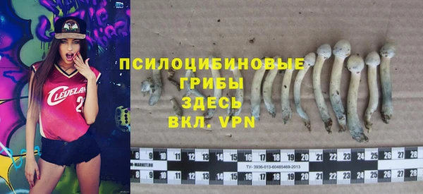 хмурый Дмитриев