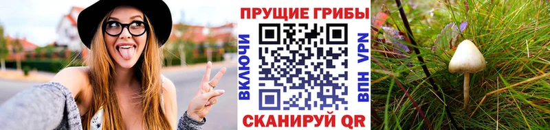 Псилоцибиновые грибы Cubensis  Сызрань 